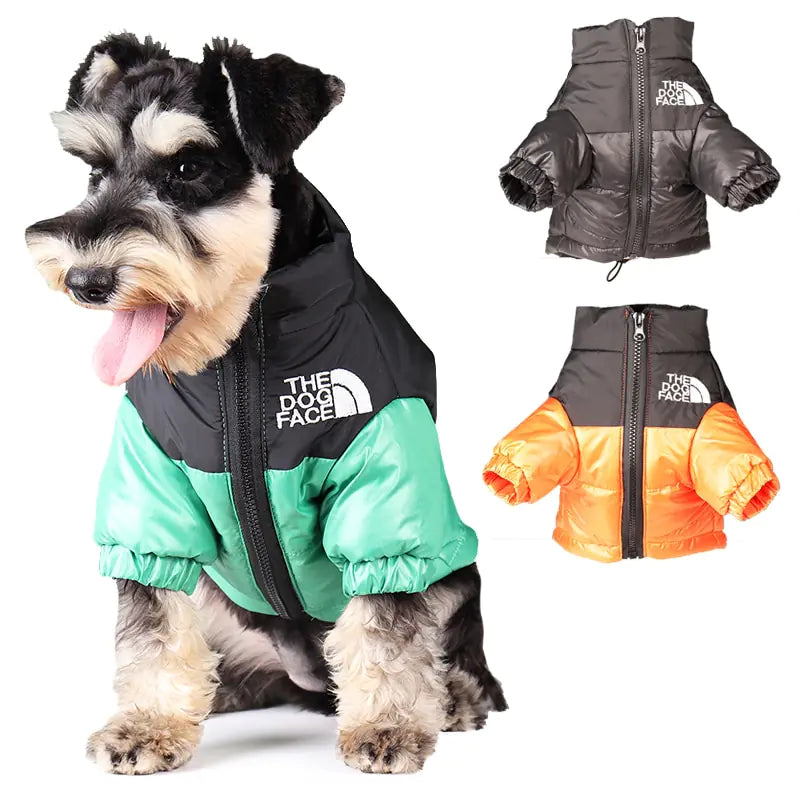 TheDogFace Jacket