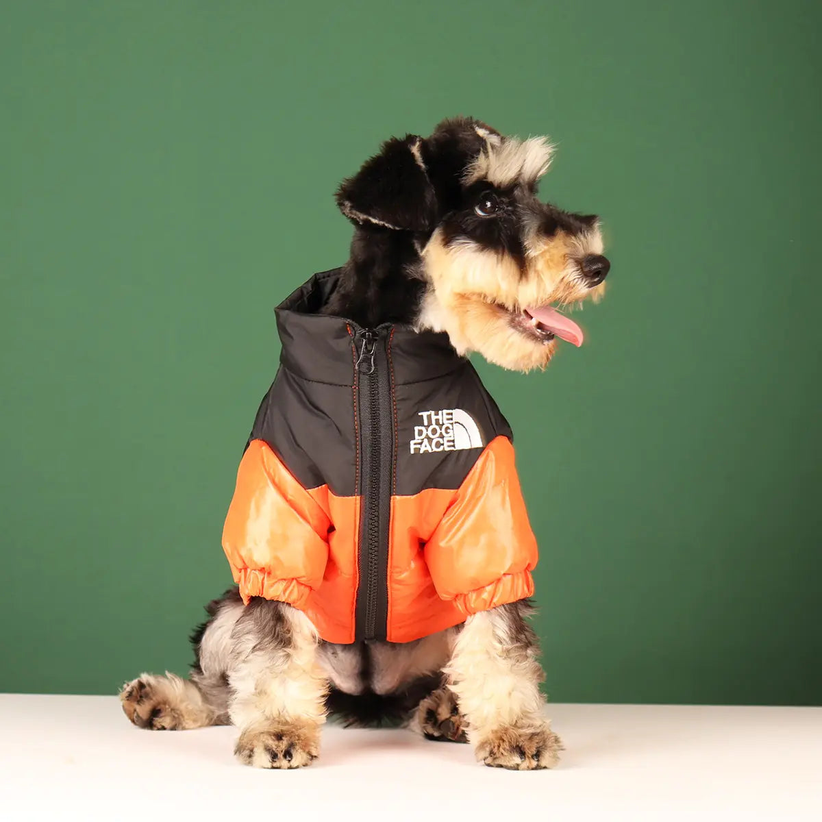 TheDogFace Jacket