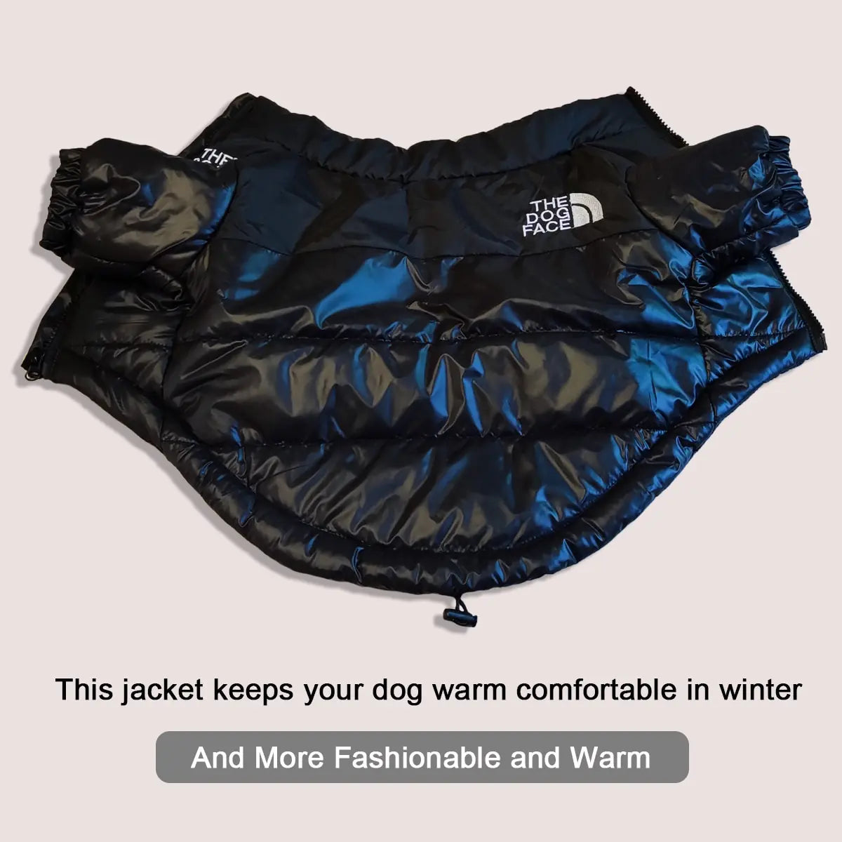 TheDogFace Jacket