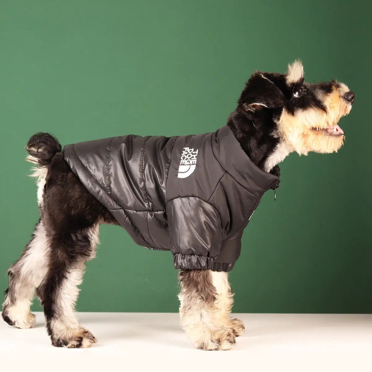 TheDogFace Jacket